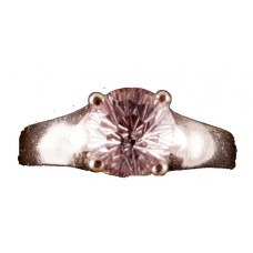 Amethyst Super Nova™ Ring